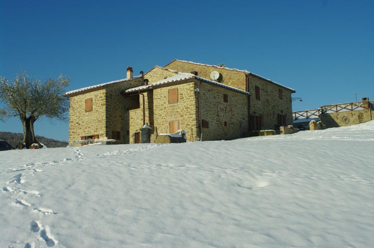 Agriturismo D'Ambiano 아레초 외부 사진